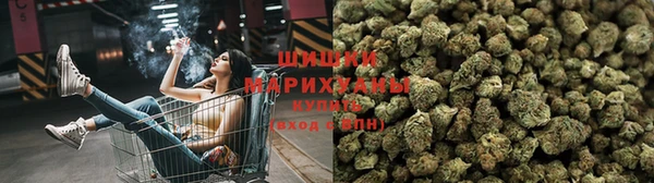 mdpv Заводоуковск
