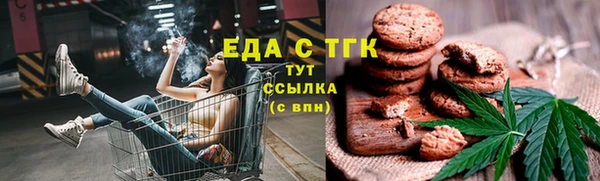 mdpv Заводоуковск