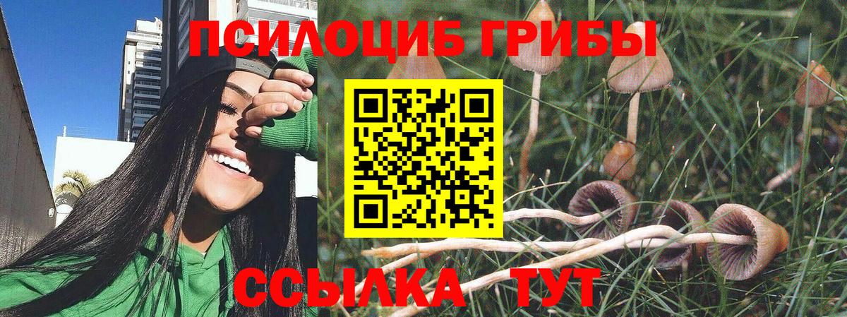 Псилоцибиновые грибы ЛСД  дарнет шоп  Галлюциногенные грибы Psilocybe  Тутаев  Вход с VPN 