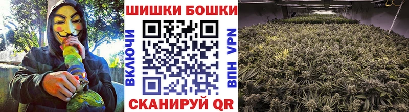 Каннабис индика  Тутаев 